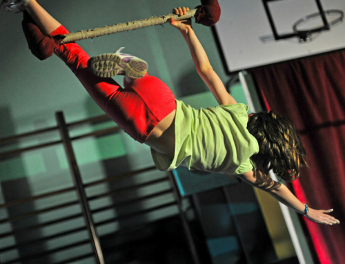 CIRQUE AERIEN ADOS