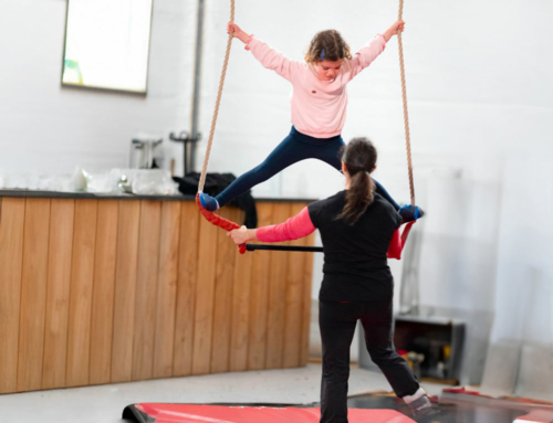 CIRQUE AERIEN